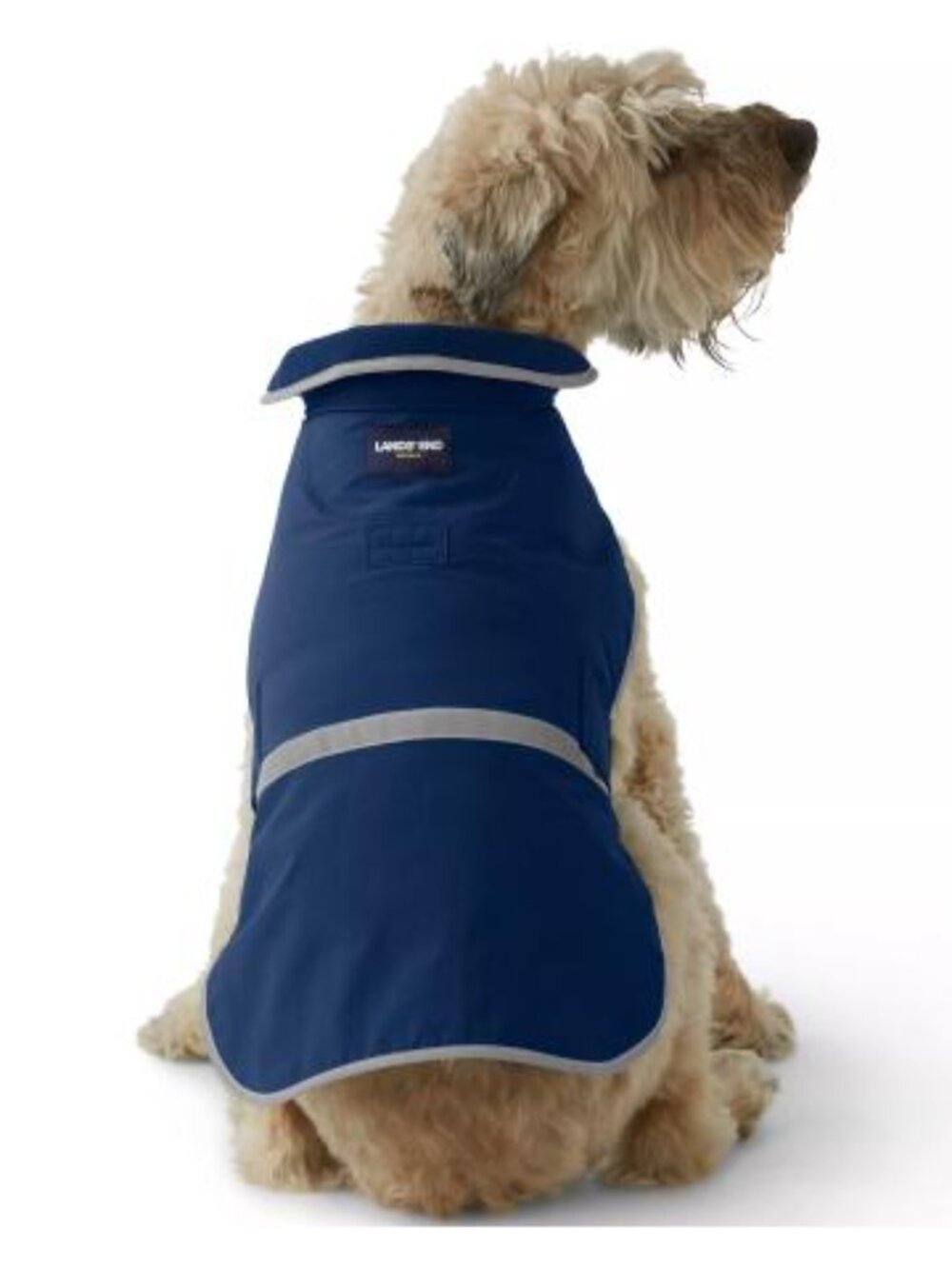 Lands End Dog Solid Squall Jacket X-Small in Mariner Blue